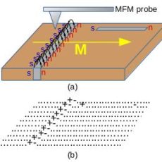 New method found for visualization of antiphase boundaries – oral presentation at Joint European Magnetic Symposia (JEMS)